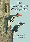 The Ivory-Billed Woodpecker (Dover Birds)
