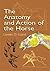 The Anatomy and Action of the Horse (Dover Anatomy for Artists)