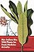 How Indians Use Wild Plants for Food, Medicine and Crafts by Frances Densmore