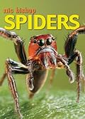 Spiders