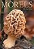 Morels