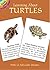 Learning About Turtles (Dov...