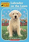 Labrador on the Lawn by Ben M. Baglio