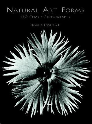Natural Art Forms (Dover Pictorial Archive)