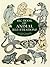 Big Book of Animal Illustrations (Dover Pictorial Archive)