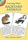 Learning About Backyard Animals