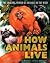 How Animals Live: Amazing W...