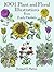 1001 Plant and Floral Illustrations by Richard G. Hatton