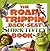 Shrek 2: The Road Trippin' Back-seat Shrek-tivity Book