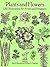 Plants and Flowers by Alan E. Bessette