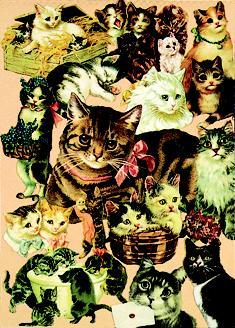 Victorian Cats Diary