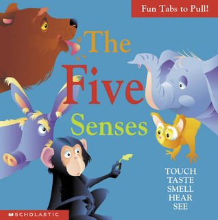 The Five Senses: Touch, Taste, Smell, Hear, See (Hardcover)