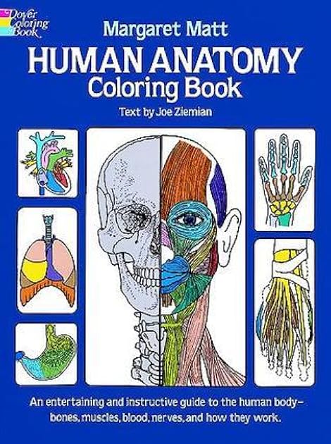 Human Anatomy Coloring Book: an Entertaining and Instructive Guide to the Human Body - Bones, Muscles, Blood, Nerves and How They Work (Coloring Books) (Dover Science For Kids Coloring Books)