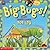 Big Bugs