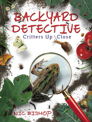 Backyard Detective: Critters Up Close (Hardcover)