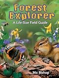 Forest Explorer: A Life-sized Field Guide