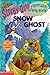 Snow Ghost by Robin Wasserman