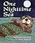 One Nighttime Sea