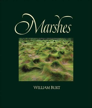 Marshes: The Disappearing Edens