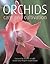 Orchids: Care and Cultivation
