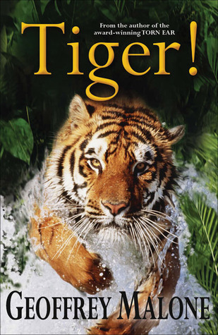Tiger!