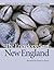 The Encyclopedia of New England