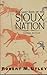 The Last Days of the Sioux Nation