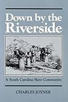 Down by the Riverside: A South Carolina Slave Community