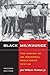 Black Milwaukee: The Making of an Industrial Proletariat, 1915-45