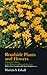 Roadside Plants and Flowers: A Traveler's Guide to the Midwest and Great Lakes Area (A North Coast Book)