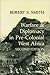 Warfare and Diplomacy in Pre-Colonial West Africa