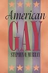 American Gay (Worlds of Desire: The Chicago Series on Sexuality, Gender, and Culture) American Gay (Worlds of Desire: The Chicago Series on Sexuality, Gender, and Culture)