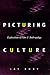 Picturing Culture: Explorat...