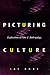 Picturing Culture: Explorations of Film and Anthropology