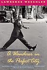 A Wanderer in the...