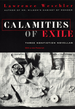 Calamities of Exile (Paperback)
