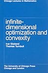 Infinite-Dimensional Optimization and Convexity (Chicago Lectures in Mathematics)
