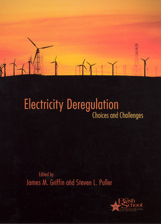 Electricity Deregulation: Choices and Challenges (Volume 4) (Bush School Series in the Economics of Public Policy)