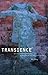 Transience: Chinese Experimental Art at the End of the Twentieth Century