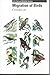 Migration of Birds (024-010...