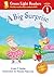 A Big Surprise (Leveled Rea...