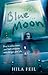 Blue Moon: A Chilling YA Ghost Story Set in a Haunted Cape Cod House