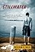 Stillwater: A Novel