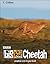 Big Cat Diary by Jonathan Scott
