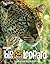 Big Cat Diary: Leopard