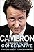 Cameron by Francis Elliott