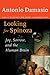 Looking for Spinoza: Joy, Sorrow, and the Feeling Brain