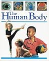 The Human Body The Human Body