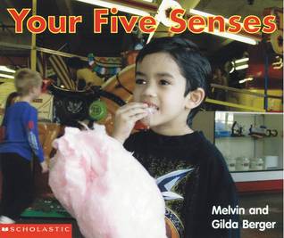 Your Five Senses