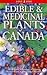 Edible and Medicinal Plants of Canada